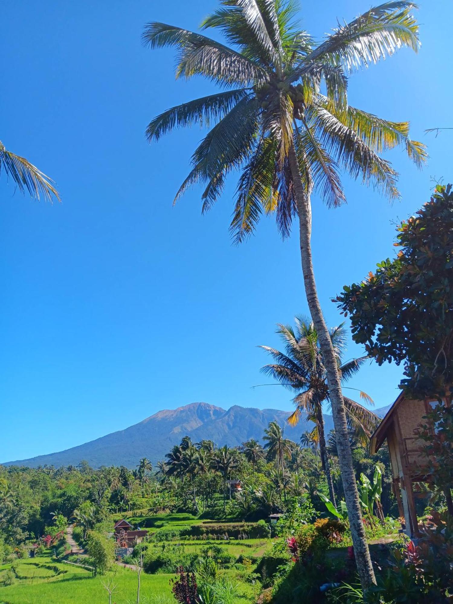 Dewi Rinjani Homestay Tetebatu Eksteriør billede