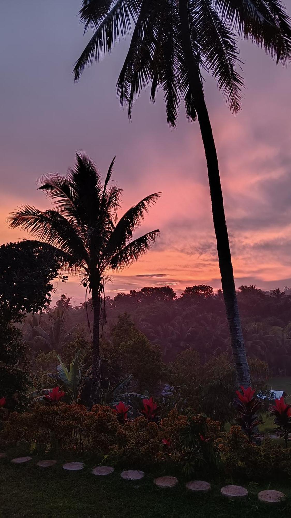 Dewi Rinjani Homestay Tetebatu Eksteriør billede