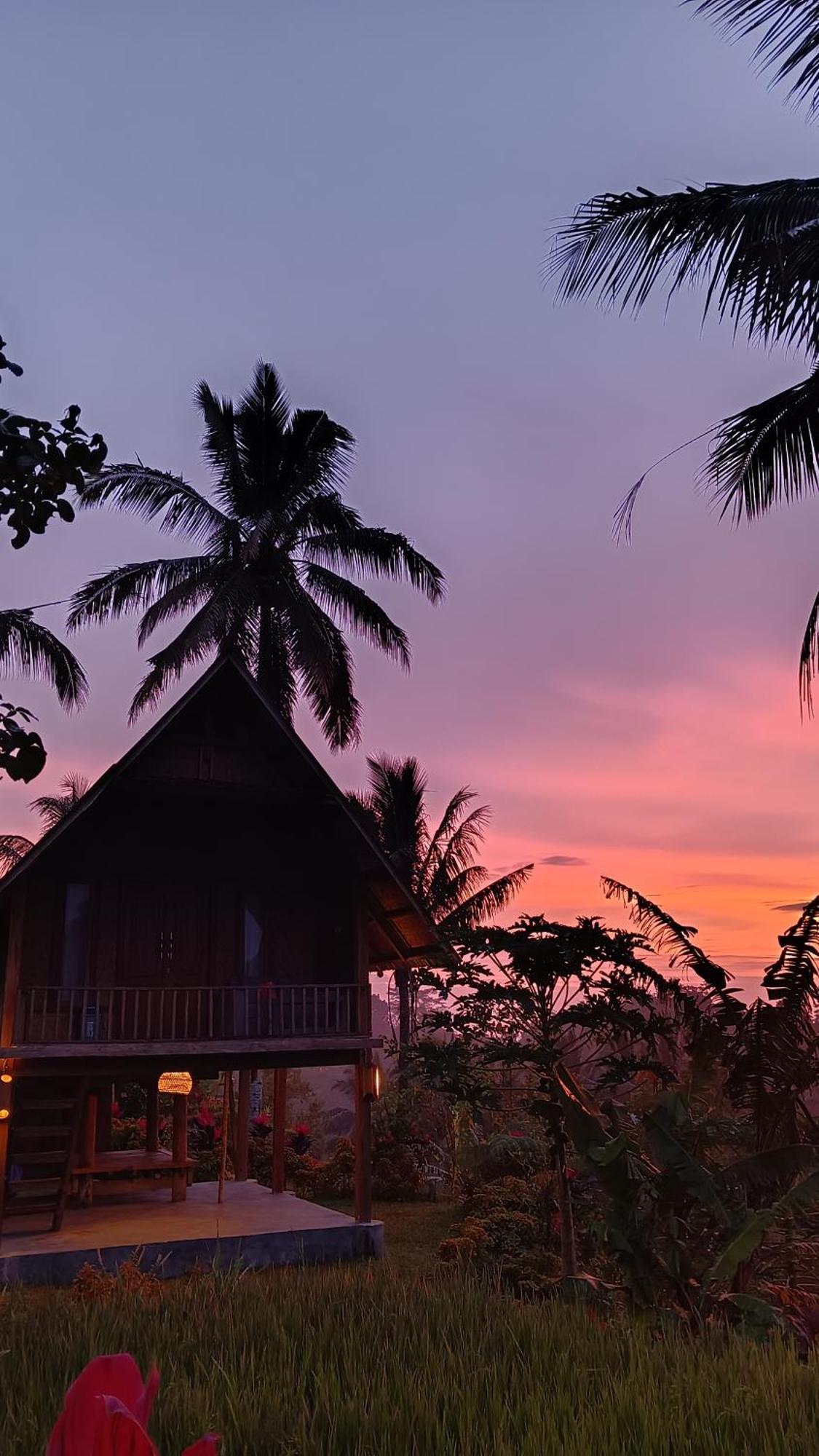 Dewi Rinjani Homestay Tetebatu Eksteriør billede